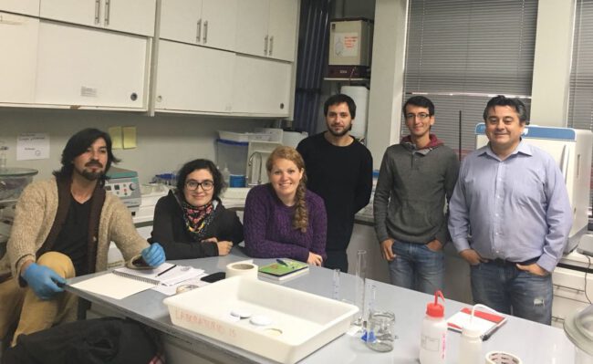 reunion-lab-2018