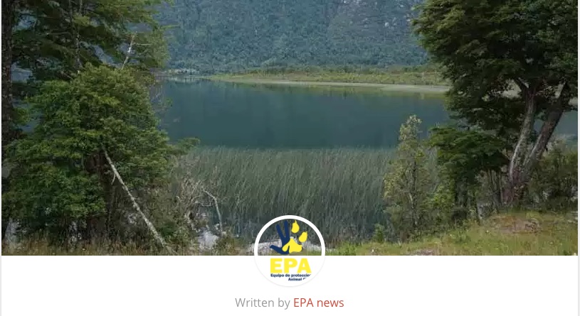 epa-news-noticia-paper