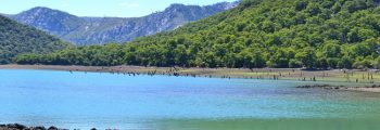 Investigación sobre la transición climática en Chile